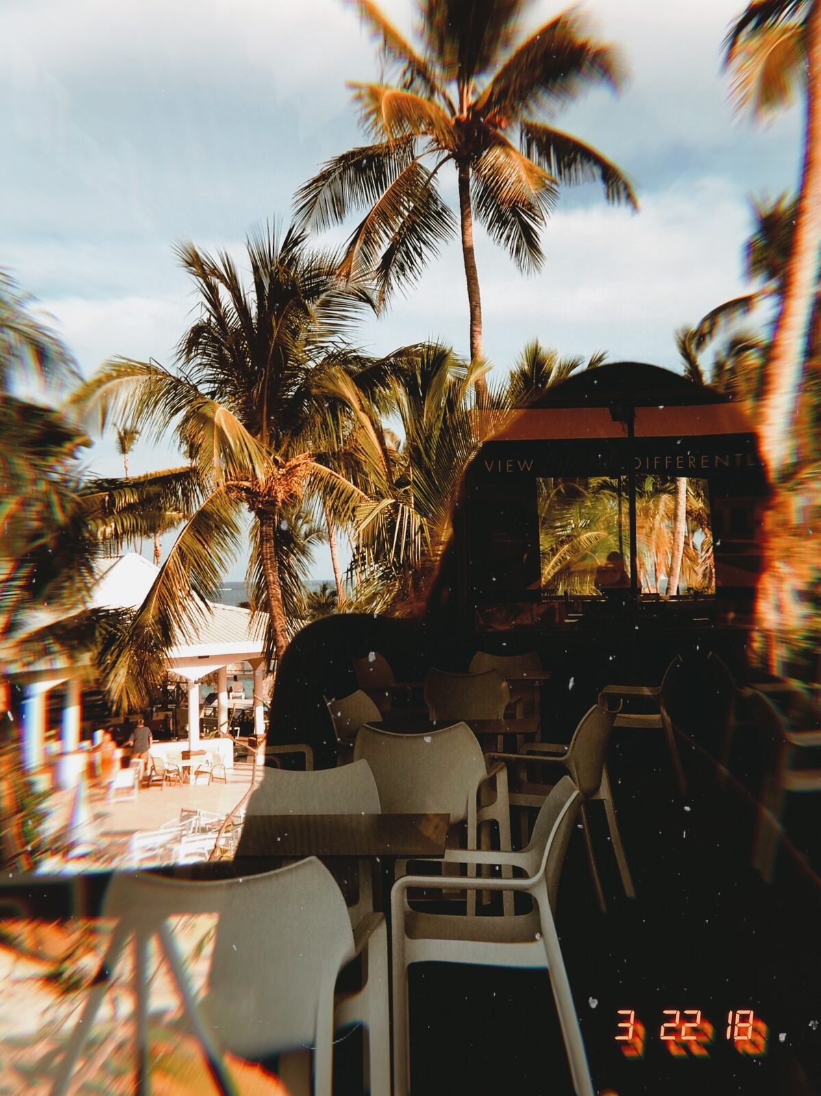 Palm trees and poolside seating